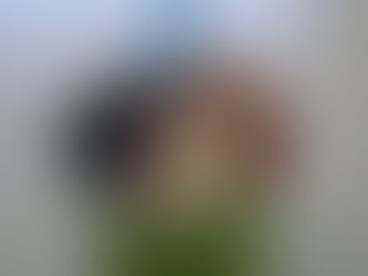 Tutti Frutti Frozen Yogurt – Froyo Classics with New Treats in Sugar Land