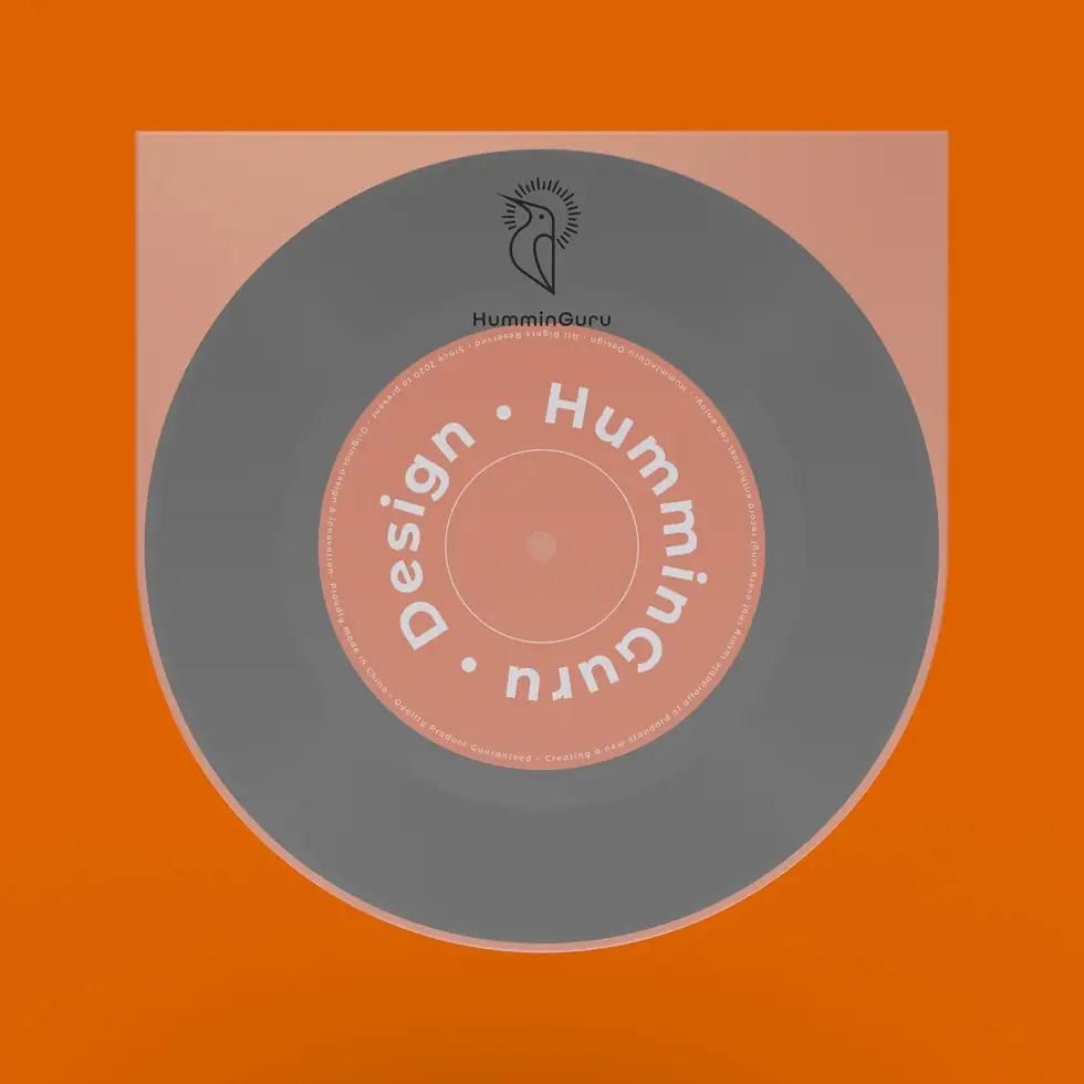 Miniature : HUMMINGURU - Pochettes de protection intérieures 7" anti-statiques