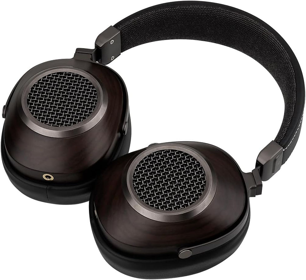 Miniature : Sivga Audio - Anser