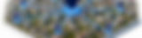 bolgeheader_edited.jpg