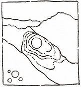 détail écosystème 2.jpg
