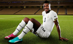Puma_WC2014_02