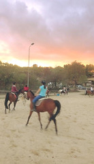 Grande carrière.jpg