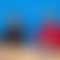 Viaje a León "a tumba abierta"