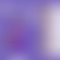 Esta temporada Siempre Juntos, Siempre Guada