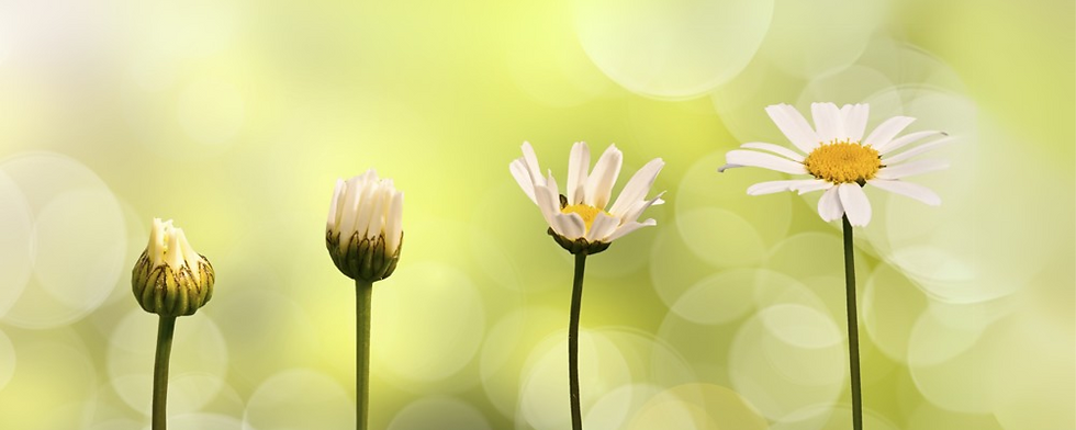 Evolutionary You Home Page Strip REV.png