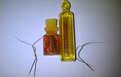 minyak bulper plus minyak pelet