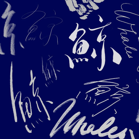 CALLIGRAPHY | TITLE DESIGN