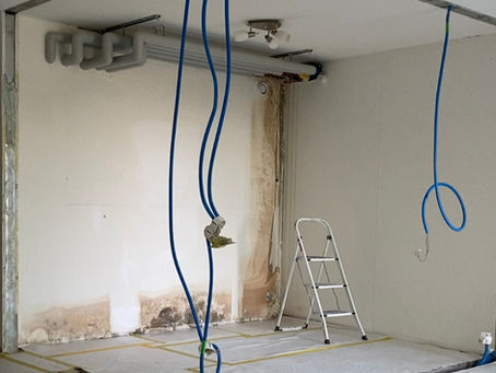 Pièce en rénovation avec câbles bleus pendants du plafond, échelle pliante contre un mur blanc. Sol protégé par bâches et adhésif.