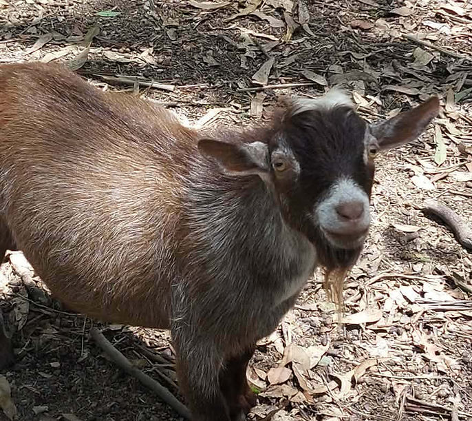 ca133a83-505c-41eb-8539-ff1bb25947da (1)_edited.jpg