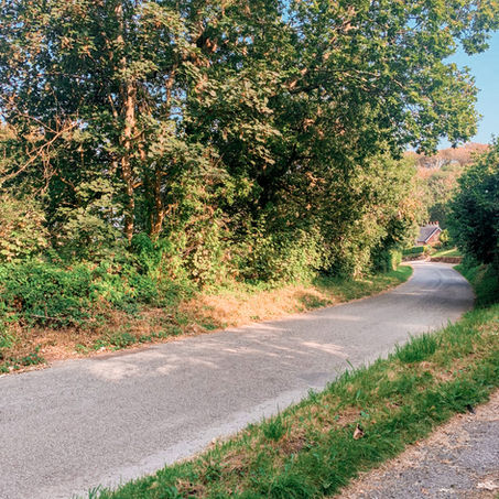 I'm Fall-ing for Autumn