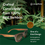Thumbnail: Cloudfield Unisex Polarized Wood Sunglasses - Brown