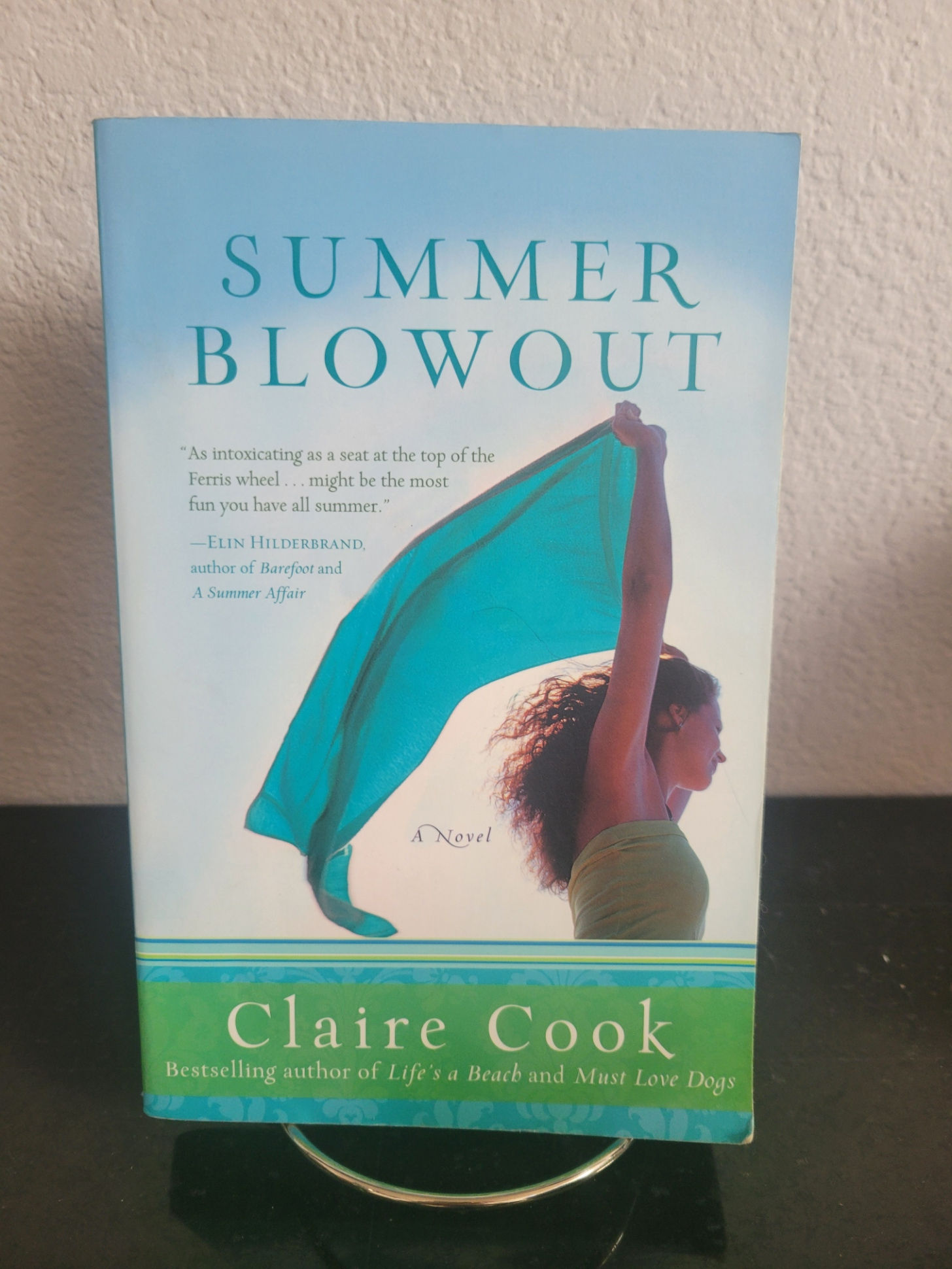 Summer Blowout by Claire Cook