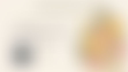 Campagne de financement : offrez des tulipes et soutenez les familles de Memphrémagog