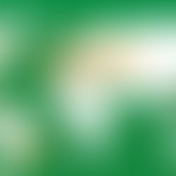 Les Journées Mondiales de la Jeunesse