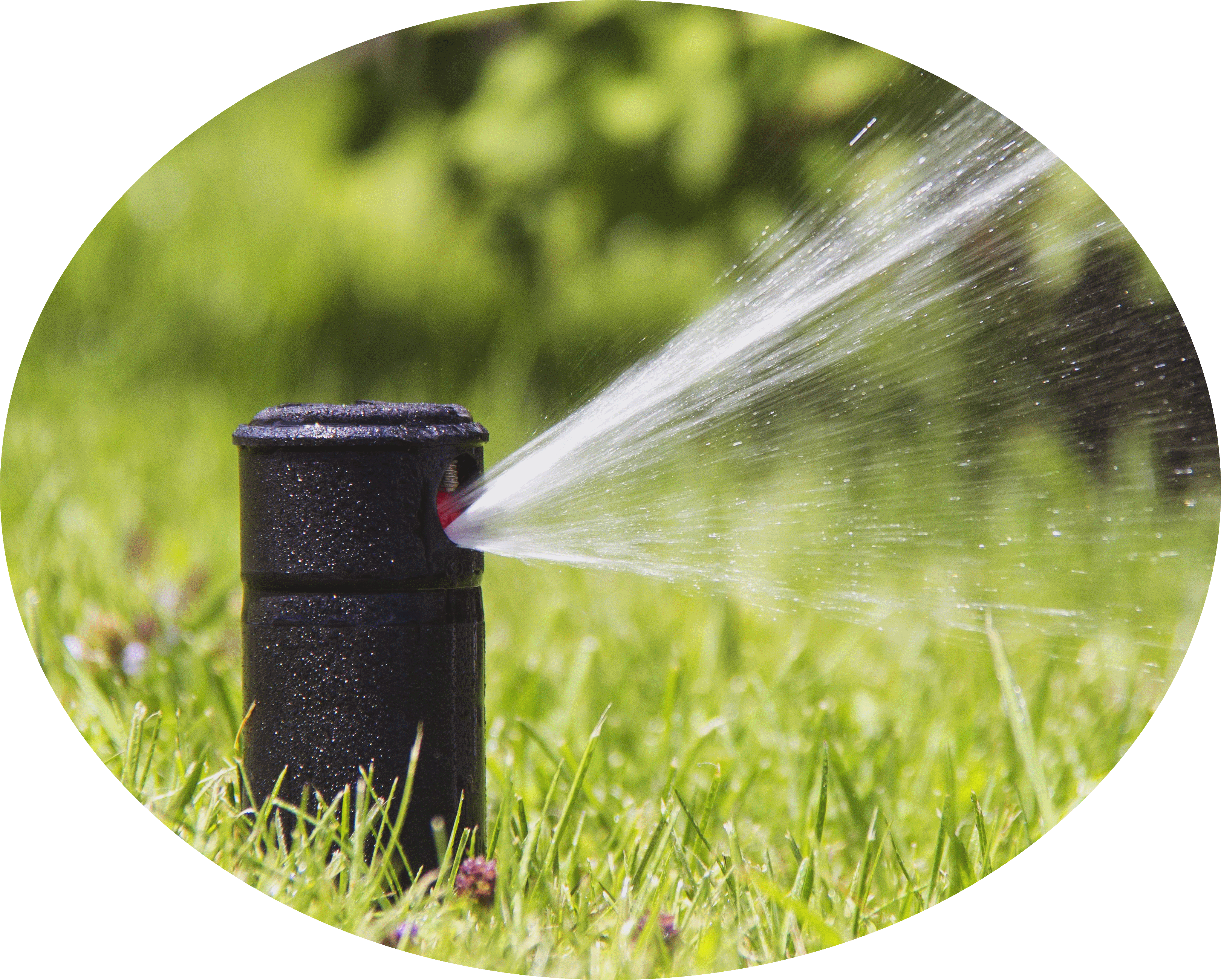 lawn sprinkler.gif