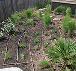 irrigation pic 10.jpg