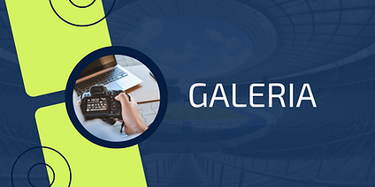 Añadir un subtítulo (8).png