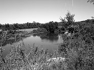 EAE Municipal Farms Area-wide brownfields_edited.jpg