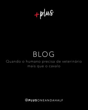 Quando o humano precisa de veterinário mais que o cavalo 