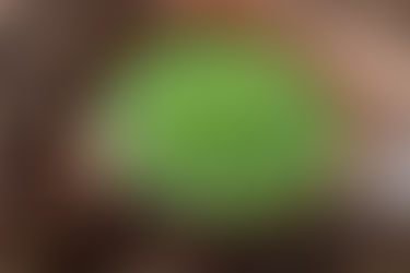 Sara's Super Green Nettle Soup Recipe