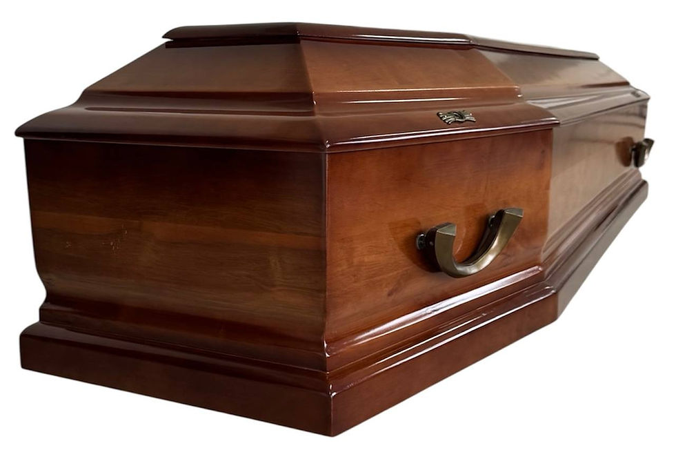 Thumbnail: Coffin Model 101F