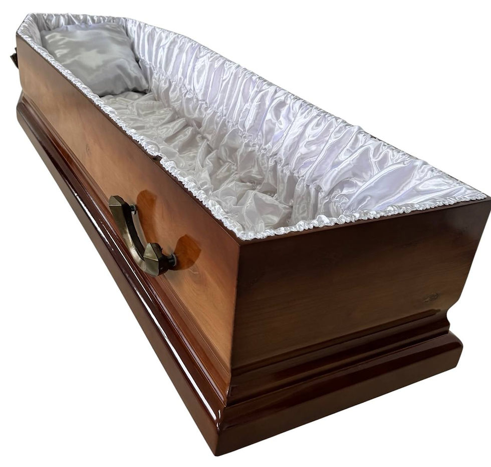 Thumbnail: Coffin Model 101F