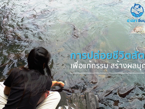 การปล่อยชีวิตสัตว์เพื่อแก้กรรม สร้างผลบุญ