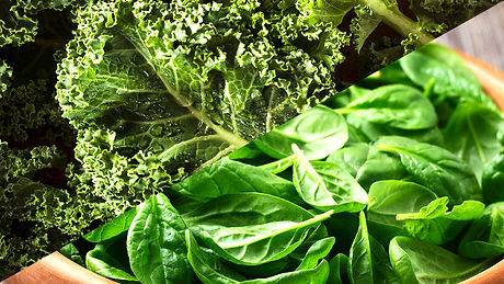 5 Best Foods For Faster Hair Growth And Healthier Skin The