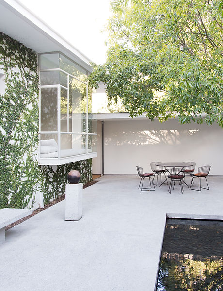 Beautiful Back yard With Vines growing on the wall.