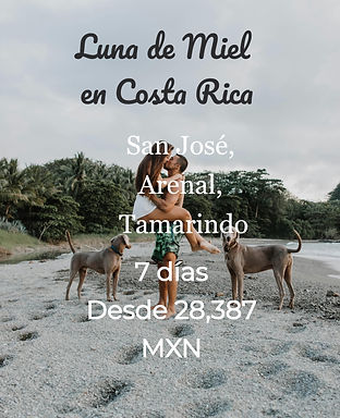 pexels-lorena-villarreal-546639145-16741