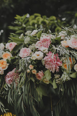 12698492_1150822141594787_983626664416879424_o