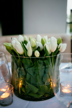 ANNABEL + SHAUN418.jpg