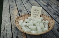 bubble basket amelia