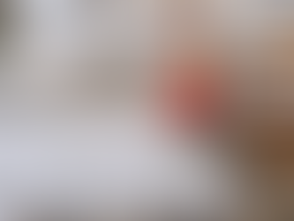 26년 2월 예약 오픈 및 몇 가지 소식