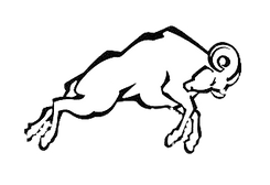 ram