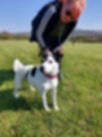 20210417_154445.jpg