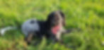received_1776524802429715.jpeg