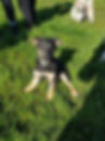 53397822_2570490669692399_8110131546117111808_n.jpg
