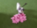 34840489_1059737564202513_3540536971694702592_n.jpg