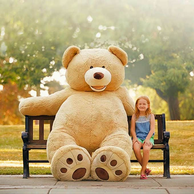 sonhar com urso