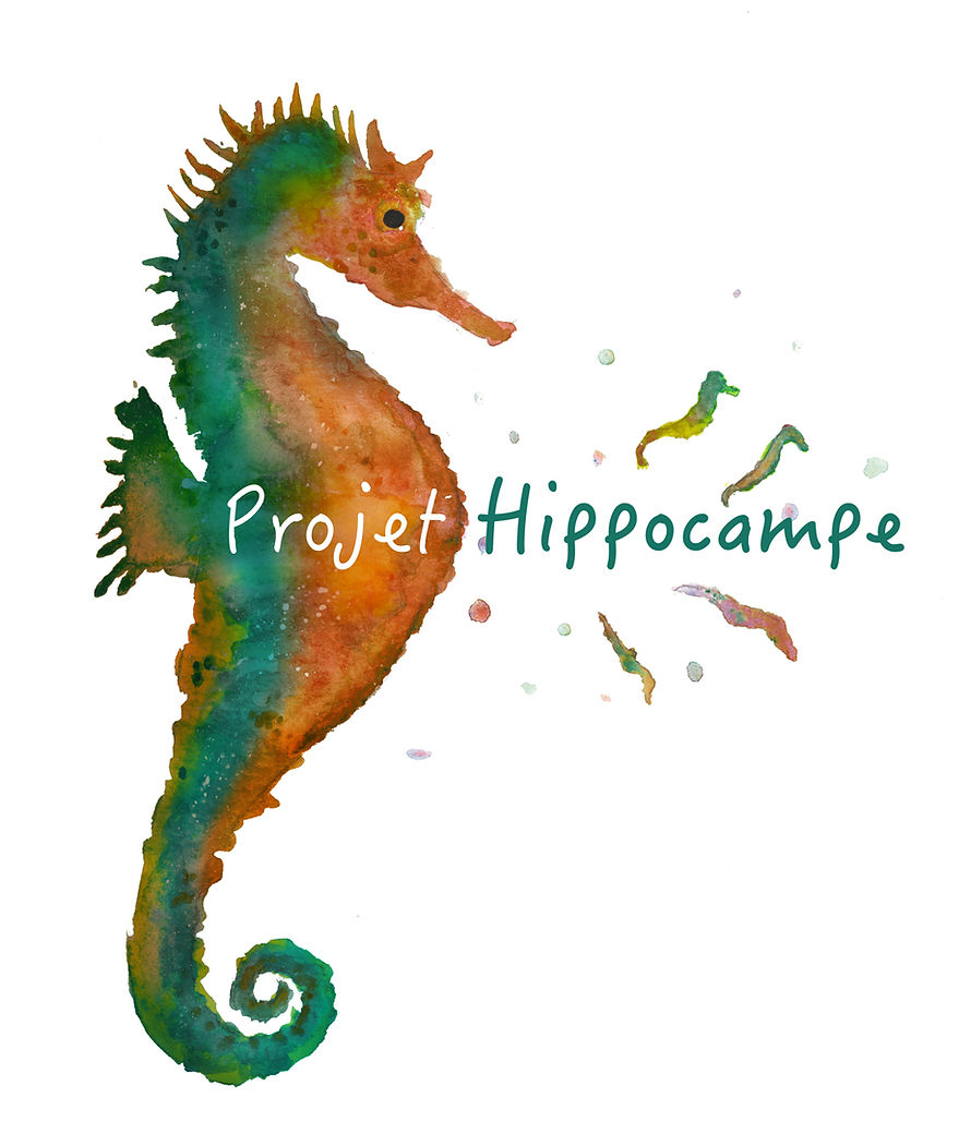 Logo du Projet Hippocampe