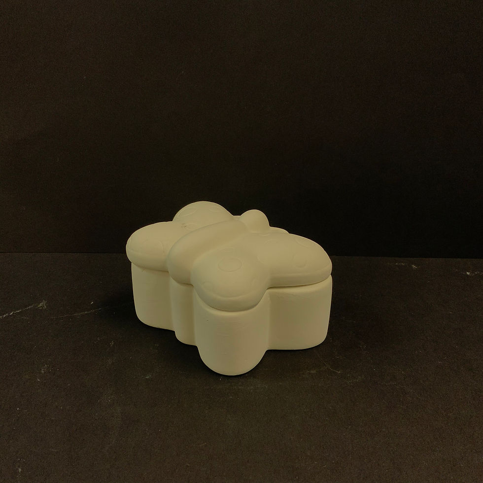 Butterfly Box
