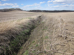 gully forming