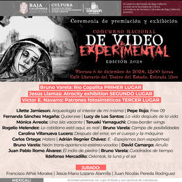 Selection in the National Experimental Video Competition