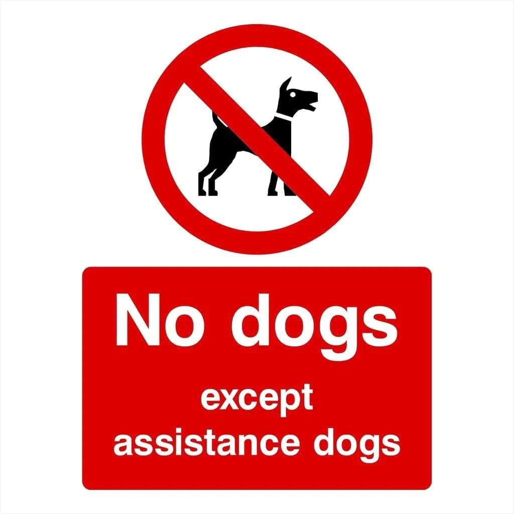 No Dogs Allowed Sign Bunnings