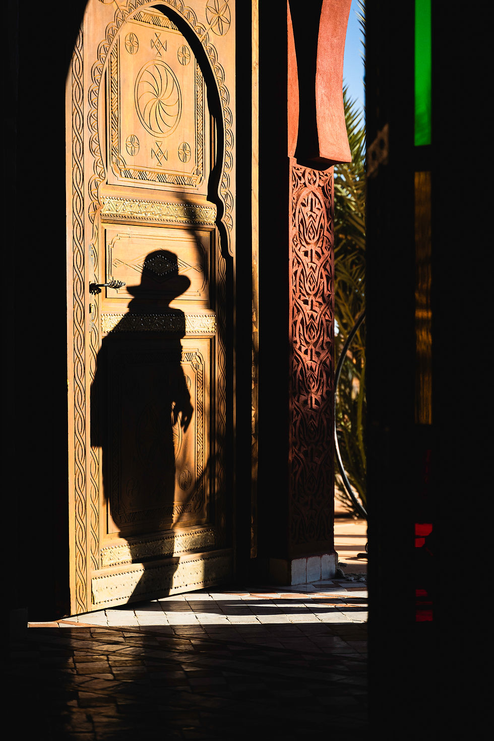 Diane Roy-L'ombre voyageuse