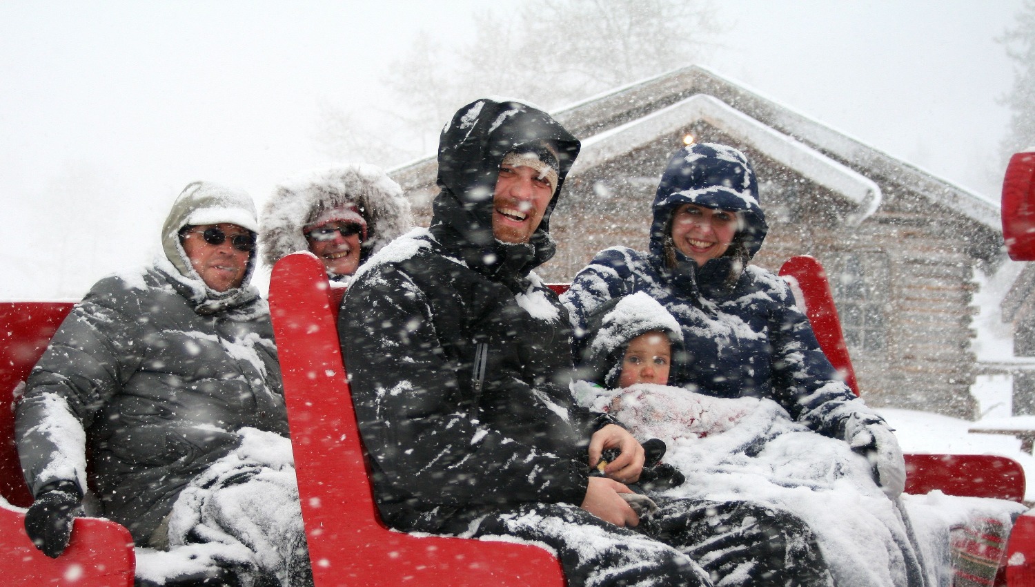 Sleigh Rides Bearcat S Cabin Scenic Colorado