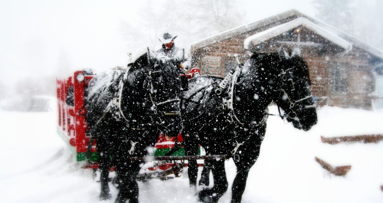 Sleigh Rides Bearcat S Cabin Scenic Colorado