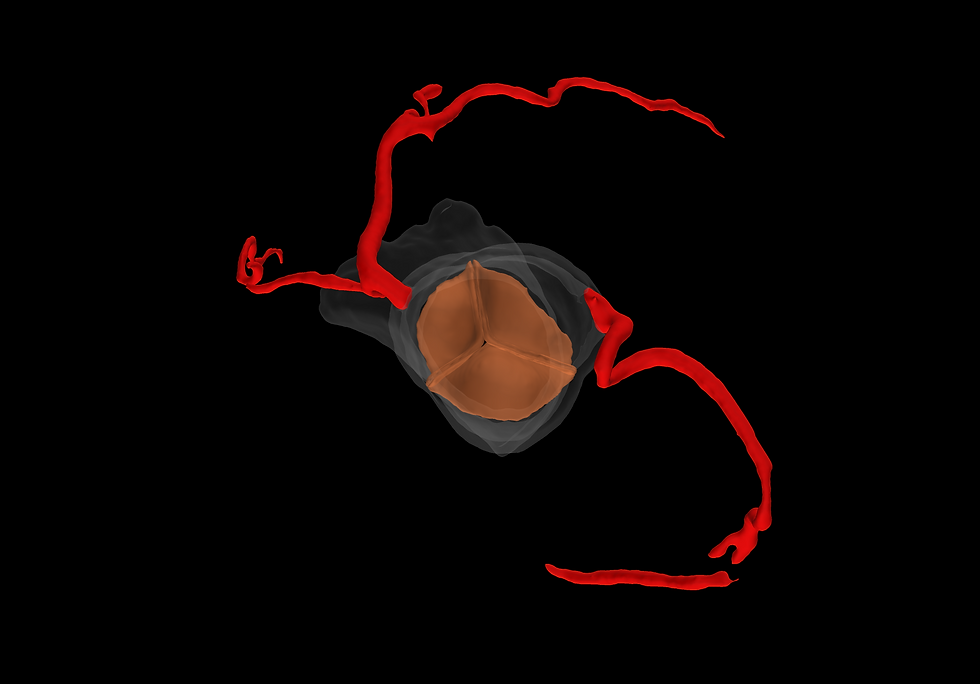 download.png